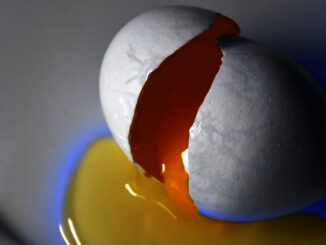 Broken egg and yolk.